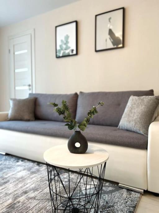 New Modern Apartments In The City Center Narva Exterior photo